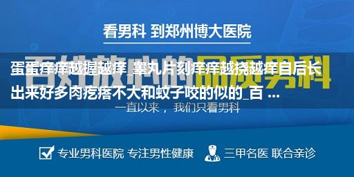 蛋蛋痒痒越握越痒_睾丸片刻痒痒越挠越痒自后长出来好多肉疙瘩不大和蚊子咬的似的_百 ...